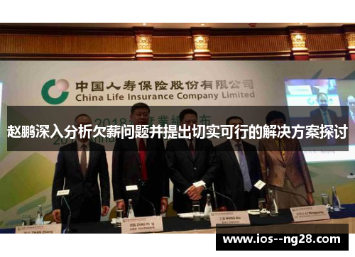 赵鹏深入分析欠薪问题并提出切实可行的解决方案探讨